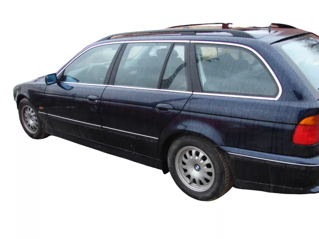 Brosca usa stanga fata (BMW 5 Series E39 [1995 - 2000] Touring wagon 525tds AT (143 hp) 2.5 TDS)